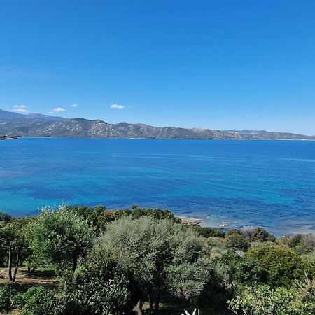 Appartement Sur La Baie De Saint Florent Patrimonio Dış mekan fotoğraf