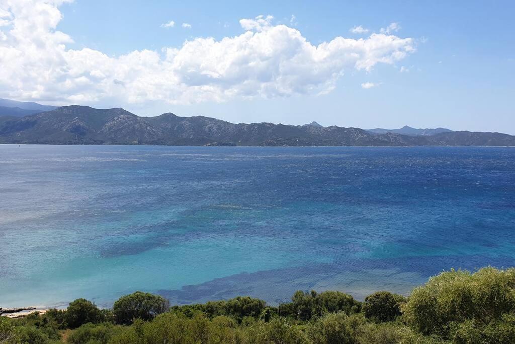 Appartement Sur La Baie De Saint Florent Patrimonio Dış mekan fotoğraf
