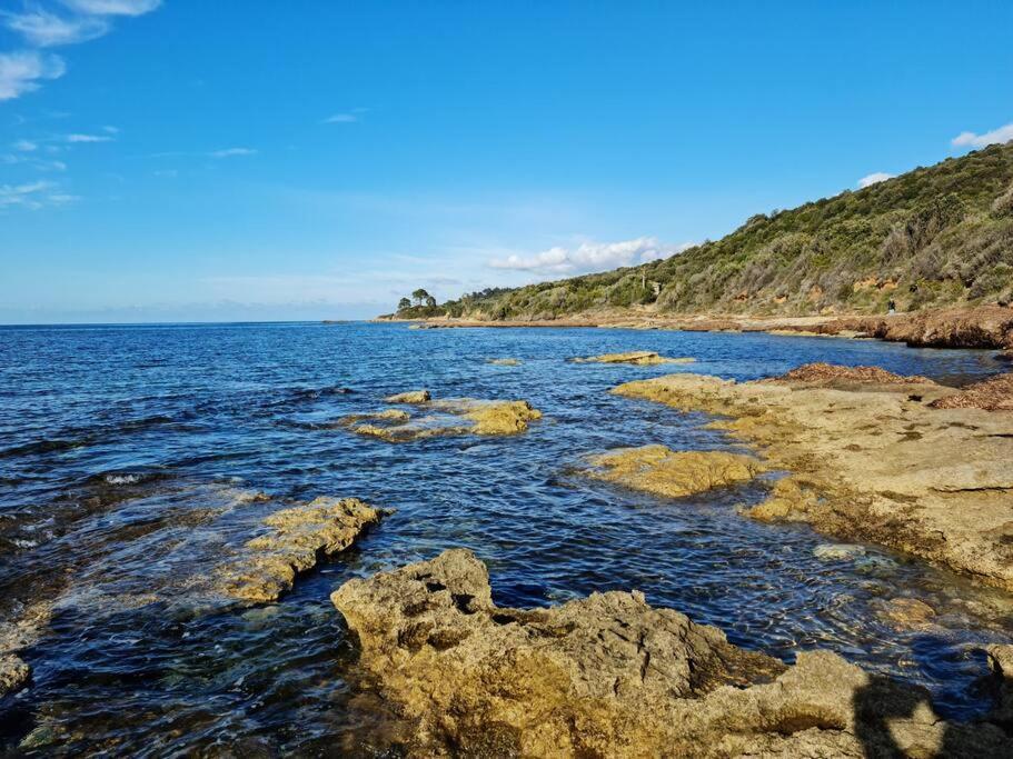 Appartement Sur La Baie De Saint Florent Patrimonio Dış mekan fotoğraf