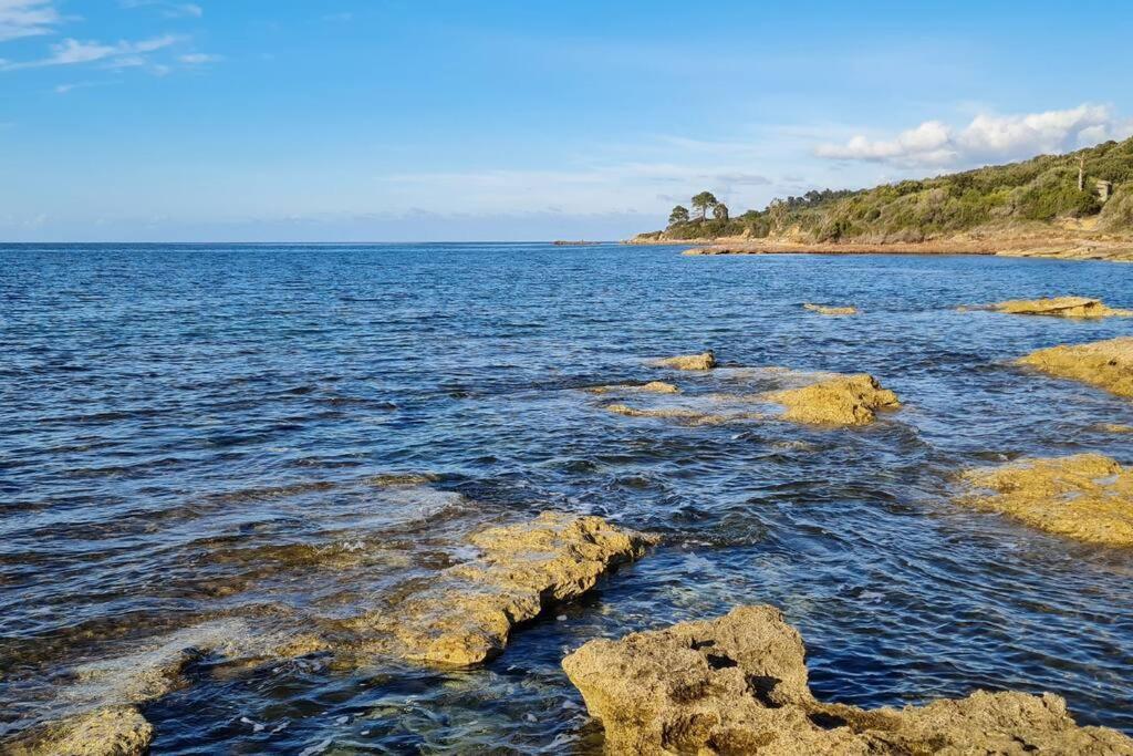 Appartement Sur La Baie De Saint Florent Patrimonio Dış mekan fotoğraf