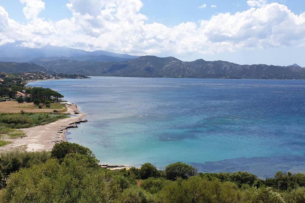 Appartement Sur La Baie De Saint Florent Patrimonio Dış mekan fotoğraf