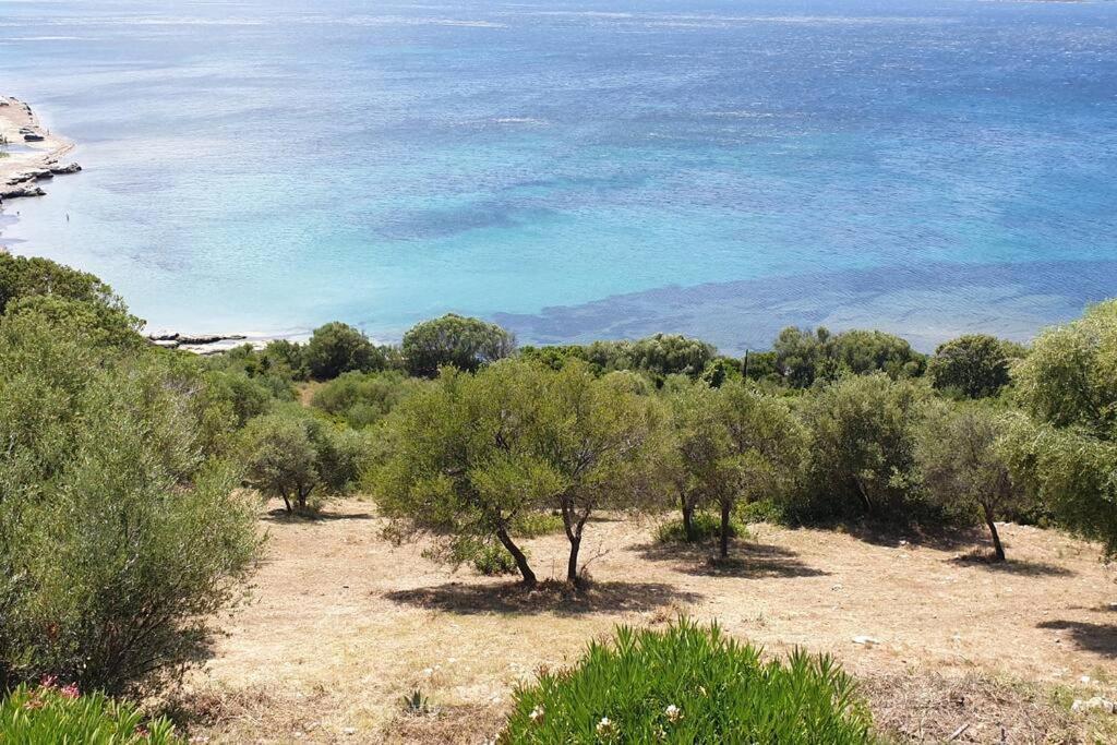 Appartement Sur La Baie De Saint Florent Patrimonio Dış mekan fotoğraf